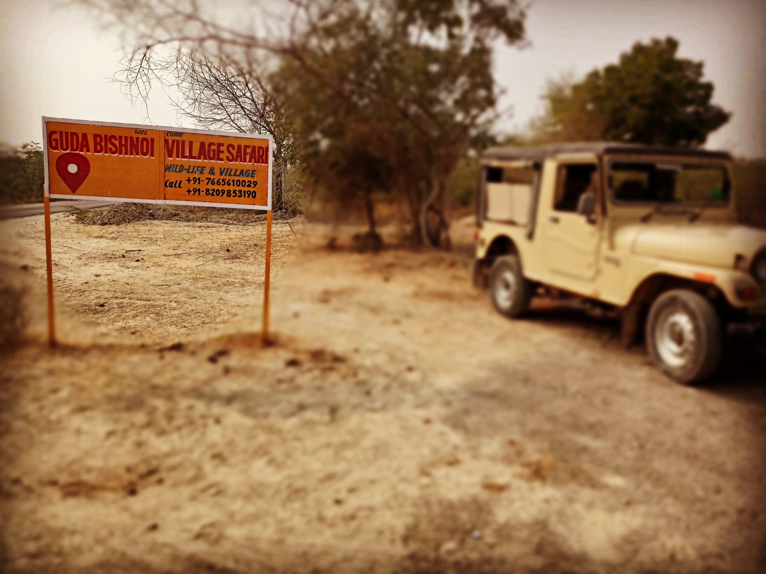 Bishnoi Village Safari charges