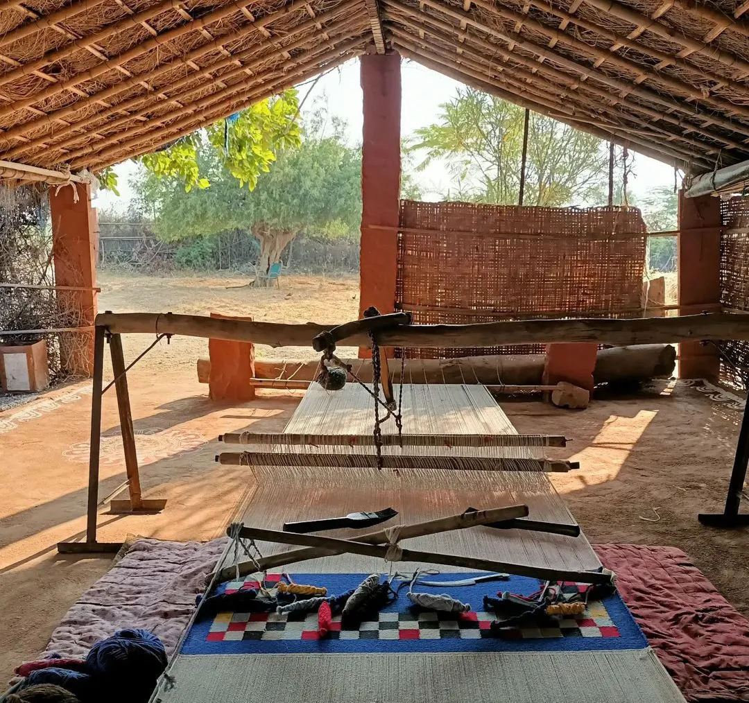 Salwas Rug Weaver Jodhpur